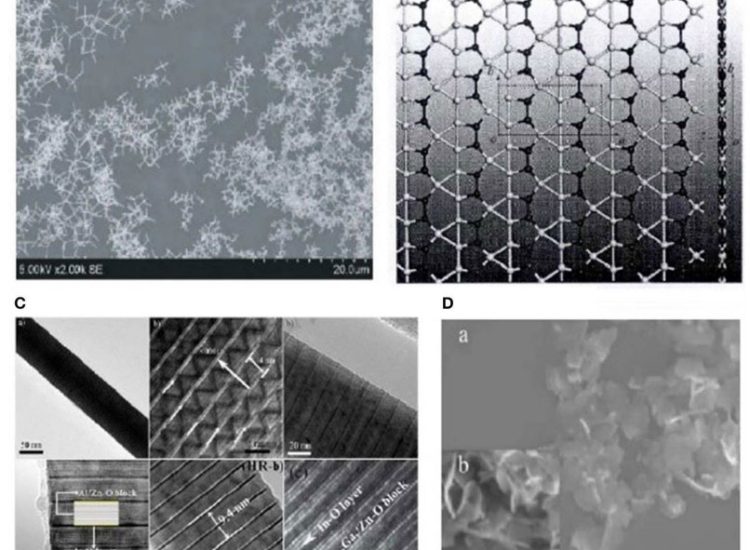 Blog-Gas Sensor Based on 2-D Nanomaterial